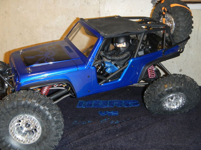 custom painted sct bodies